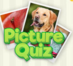 Picture Quiz